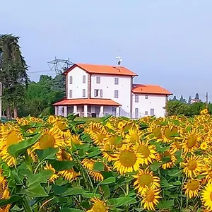 La Collinetta Bed & Breakfast